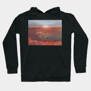 Poppy Delight oil painting by tabitha kremesec Hoodie